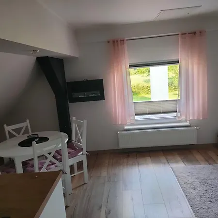 Na Poddaszu Pola Apartment *